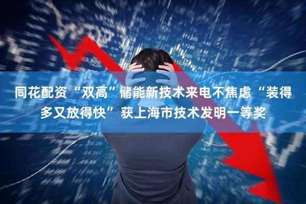 同花配资 “双高”储能新技术来电不焦虑 “装得多又放得快” 获上海市技术发明一等奖