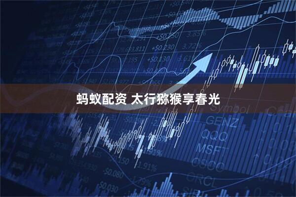 蚂蚁配资 太行猕猴享春光